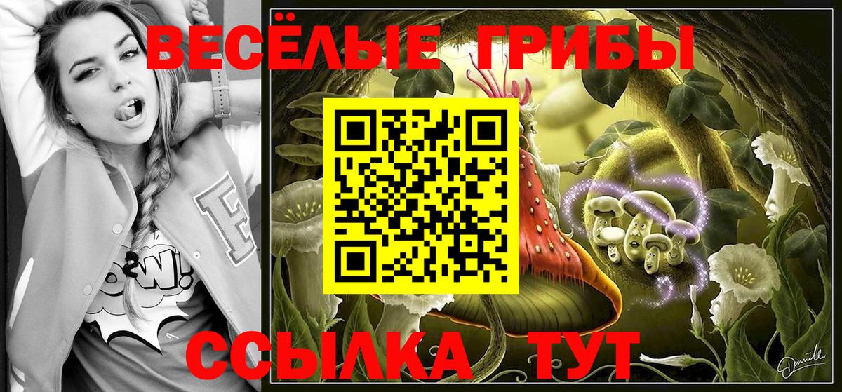 Галлюциногенные грибы Psilocybe Ипатово